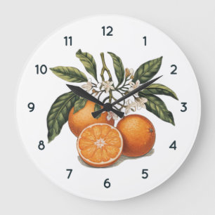 Watercolor Orange fruit Clock with Black numbers