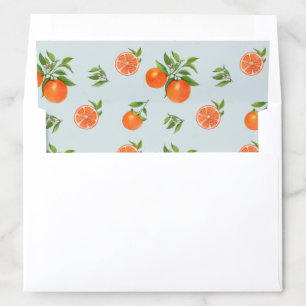 Watercolor Orange fruit on aqua Envelope Liner