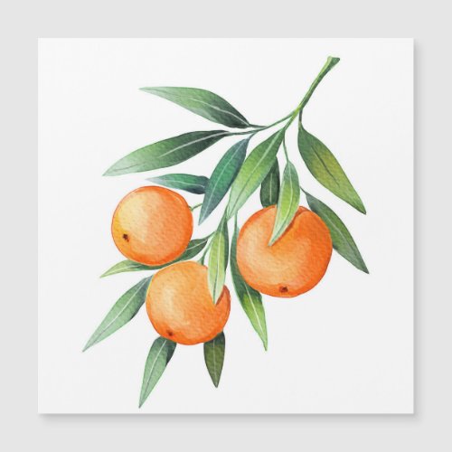 Watercolor Orange Fruits Branches Isolated