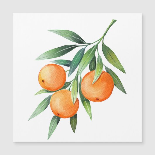 Watercolor Orange Fruits: Branches Isolated. (Front)