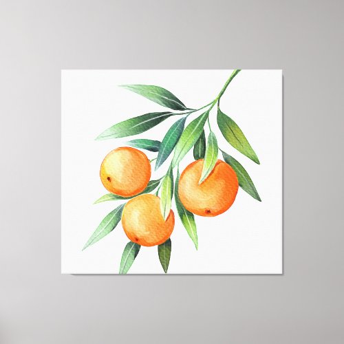 Watercolor Orange Fruits Branches Isolated Canvas Print