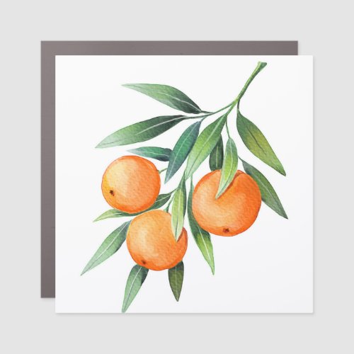 Watercolor Orange Fruits Branches Isolated Car Magnet