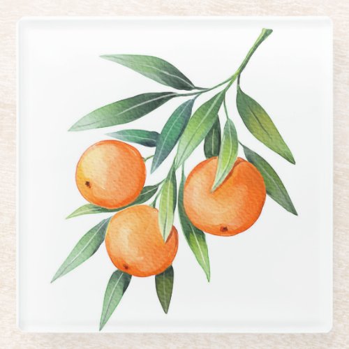 Watercolor Orange Fruits Branches Isolated Glass Coaster