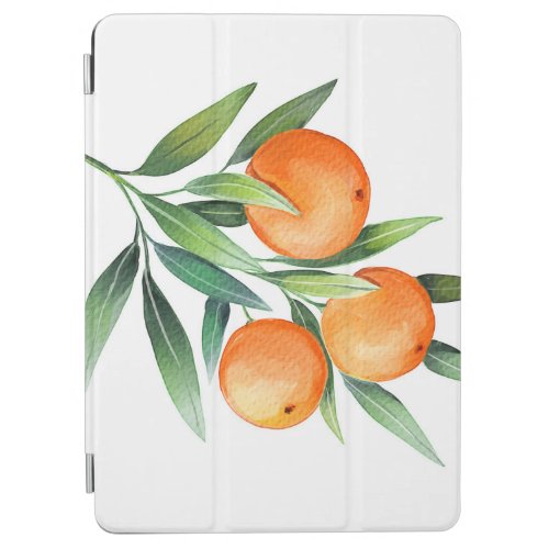 Watercolor Orange Fruits Branches Isolated iPad Air Cover