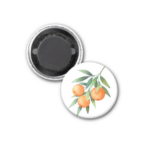 Watercolor Orange Fruits Branches Isolated Magnet