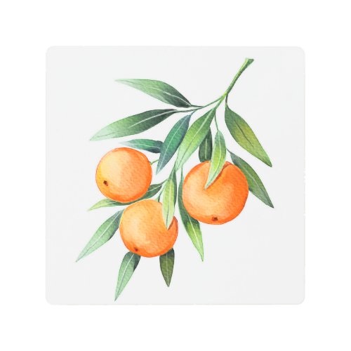 Watercolor Orange Fruits Branches Isolated Metal Print