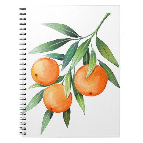 Watercolor Orange Fruits Branches Isolated Notebook
