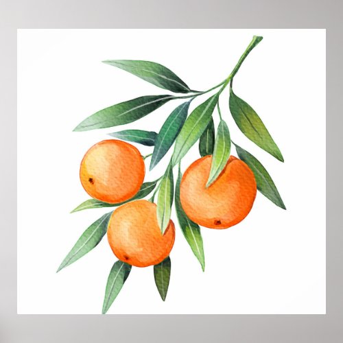 Watercolor Orange Fruits Branches Isolated Poster