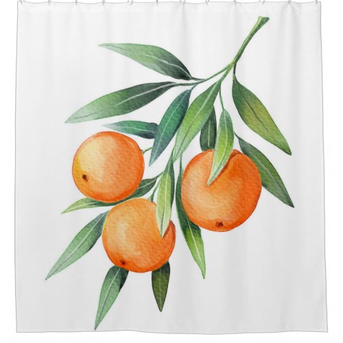 Watercolor Orange Fruits Branches Isolated Shower Curtain