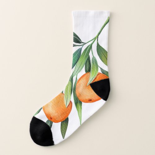 Watercolor Orange Fruits Branches Isolated Socks