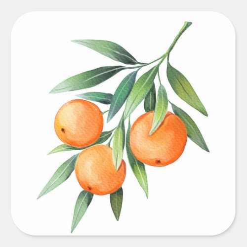 Watercolor Orange Fruits Branches Isolated Square Sticker
