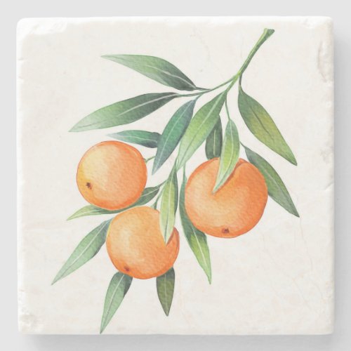 Watercolor Orange Fruits Branches Isolated Stone Coaster