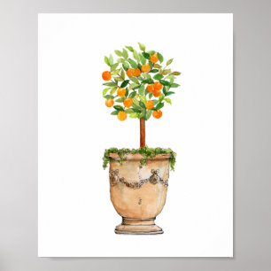 Watercolor Orange tree topiary in antique urn Poster