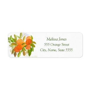 Watercolor Oranges Fruits Citrus Mediterranean Label