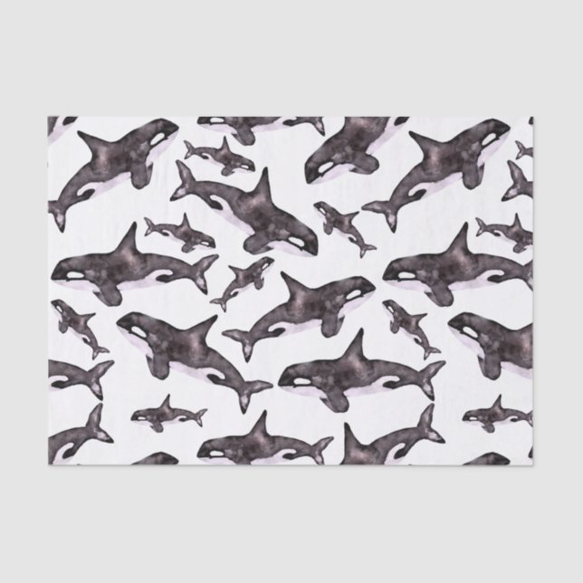 Watercolor Orca Tissue Paper (Front)