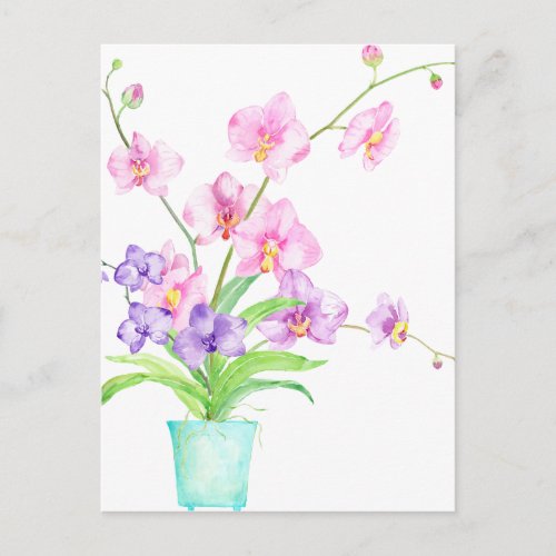 Watercolor Orchid in Pot Postcard