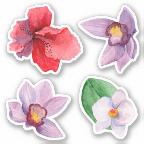 Watercolor orchid Tropical flowers Purple floral Sticker