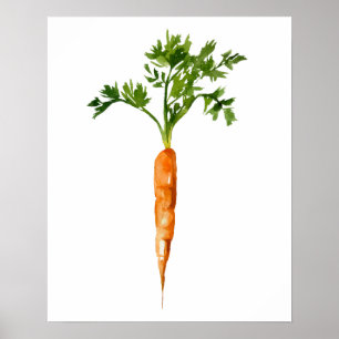 Watercolor Organic Carrot Poster
