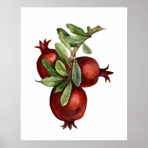 Watercolor Organic Pomegranate Poster