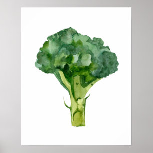 Watercolor Organic Radish Poster