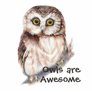 Watercolor Owl, Bird, Nature, Wildlife are awesome Cutout