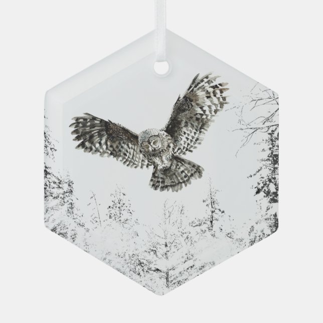 Watercolor Owl Bird Wildlife Nature Art Glass Ornament (Front)