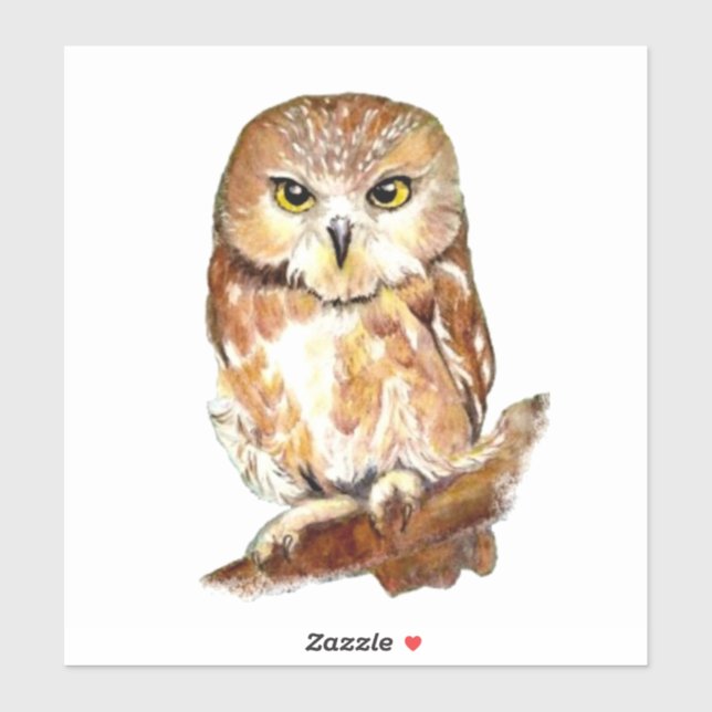 Watercolor Owl Bird Wildlife Nature Art Sticker (Sheet)