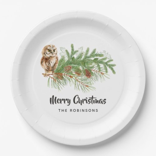 Watercolor Owl Christmas Party Paper Plates