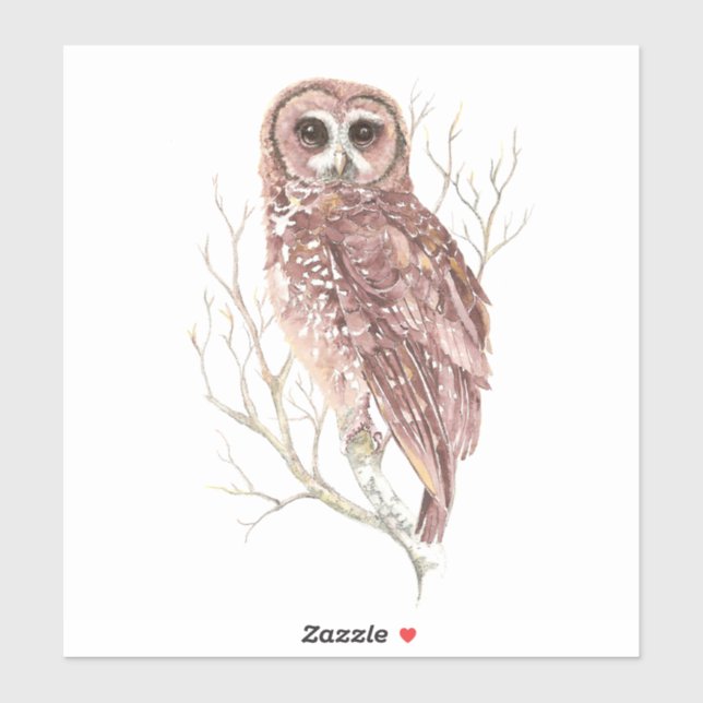 Watercolor Owl Wildlife Bird Nature Art Sticker (Sheet)