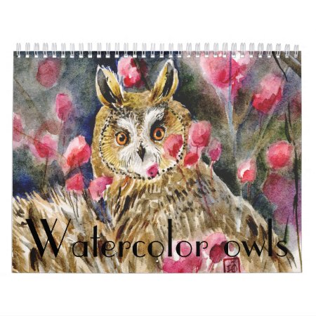 Watercolor Owls Paintings Close-ups Calendar