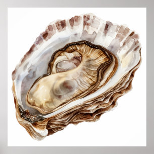 Watercolor oyster illustration poster