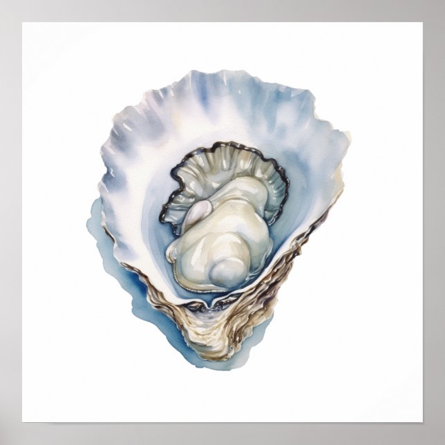 Watercolor Oyster Shell Poster (Front)
