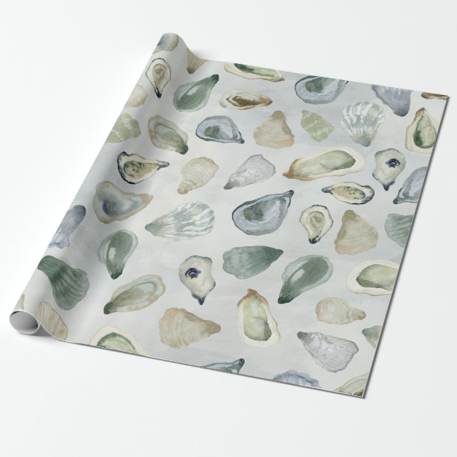 Watercolor Oyster Shells Gift Wrap (Unrolled)