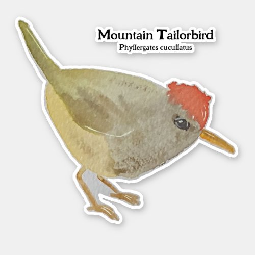 Watercolor P cucullatus Mountain Tailorbird Sticker