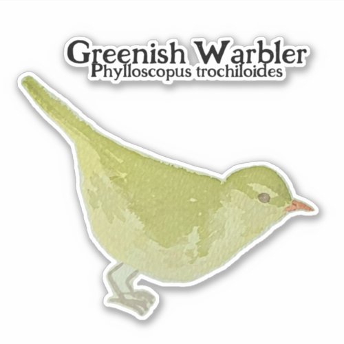 Watercolor P trochiloides Greenish Warbler Sticker