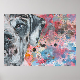 Watercolor painted Great Dane face Poster