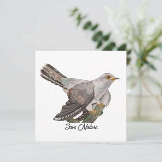 Watercolor painting a cuckoo (Standing Front)