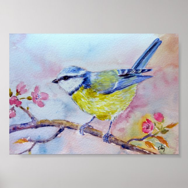 Watercolor Painting Bluetit Blue bird Poster (Front)