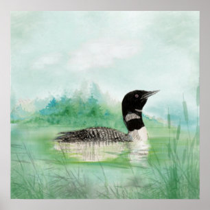 Watercolor Painting Loon Bird Lake Art wilderness Poster