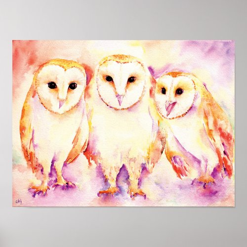 Watercolor Painting of 3 Barn Owls Poster