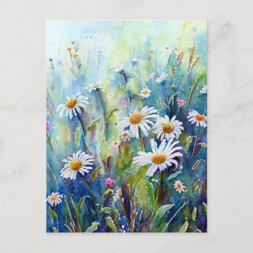 Watercolor painting of daisy field postcard