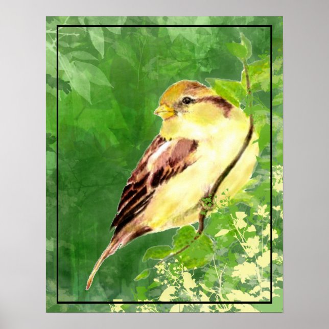 Watercolor Painting of Sparrow Bird in Tree Poster (Front)