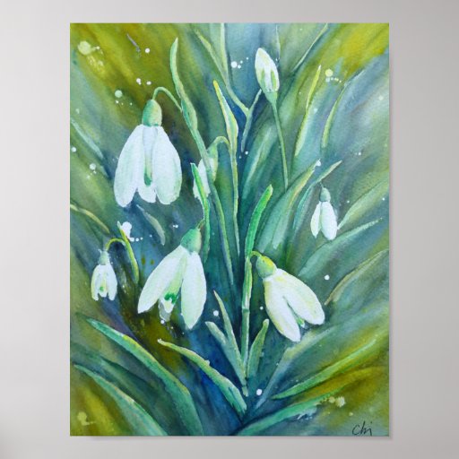 Watercolor Painting Snowdrops Poster | Zazzle