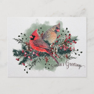 Watercolor Pair of Cardinals Christmas Design Holiday Postcard