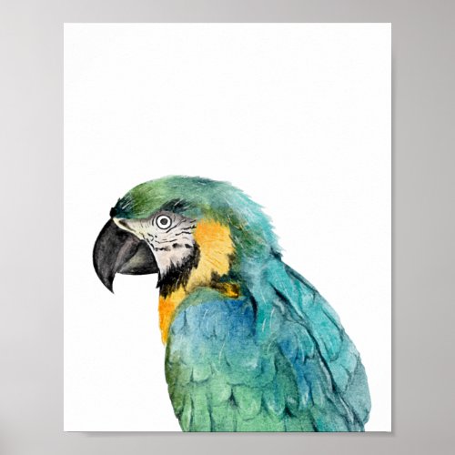 Watercolor Parrot Bird Blue Gold Macaw  Poster