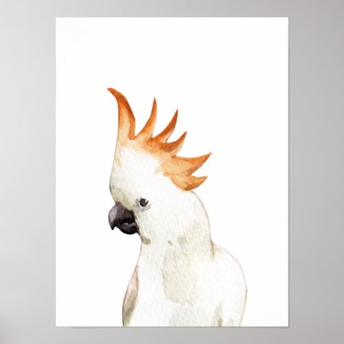 Watercolor Parrot Cockatoo bird Poster