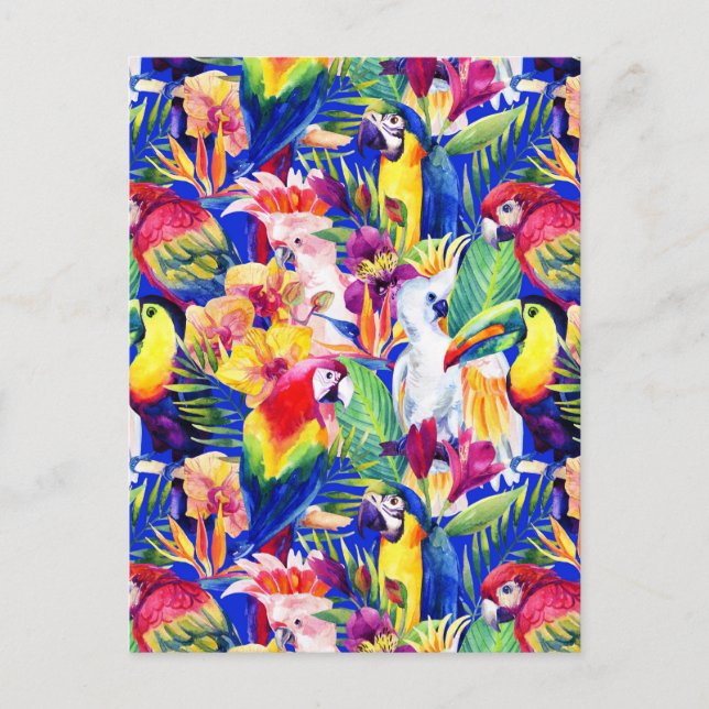 Watercolor Parrots 2 Postcard (Front)