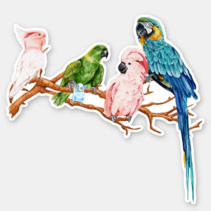 Stickers – Single Bird Style – Parrot – 1 inch (total of 50