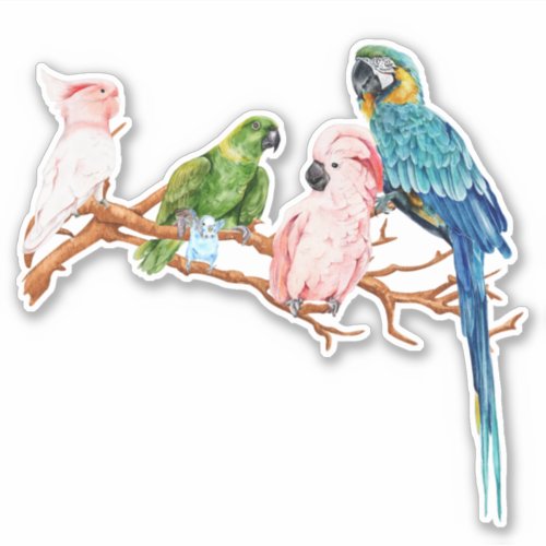 Watercolor Parrots Macaw Cockatoo Parakeet  Sticker