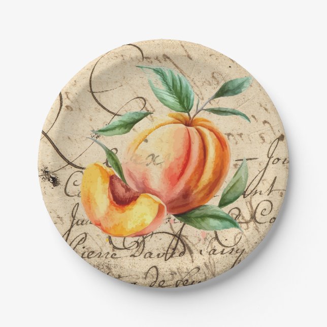 watercolor peach paper plates (Front)